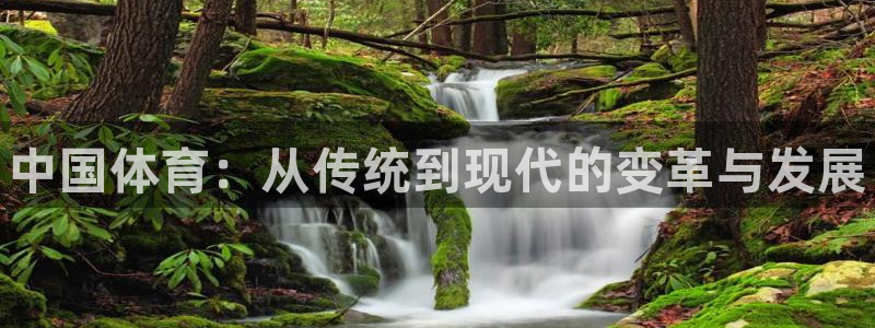 vsport体育官网下载联系电话：中国体育：从传统到