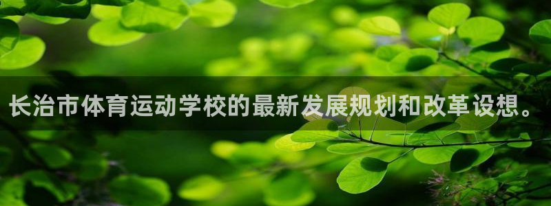 vsport体育官方正版app官网：长治市体育运动学