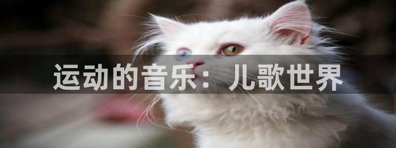 vsport体育官网下载招商电话是多少号码：运动的音
