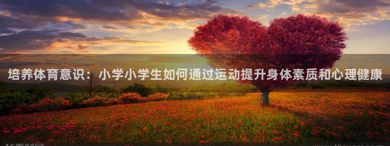 vsport体育官方正版app科技：培养体育意识：小