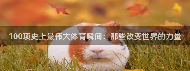 vsport体育官方正版app集团官网首页网址：10