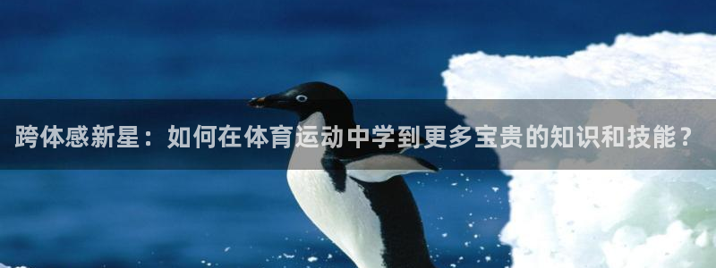 vsport体育官方正版app新能源：跨体感新星：如