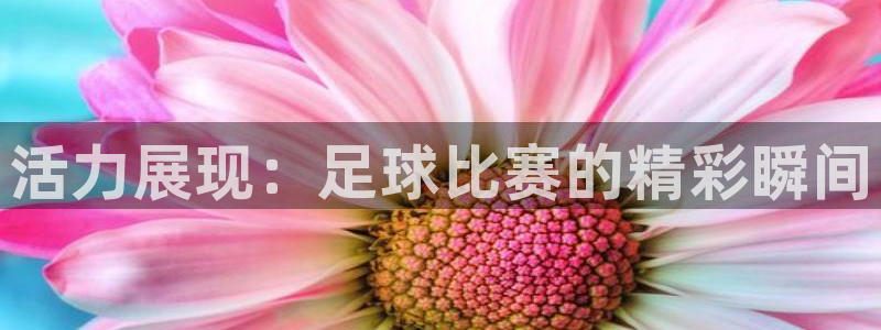 vsport体育官网下载招商电话地址：活力展现：足球
