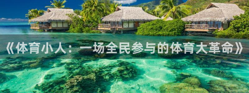 vsport体育官方正版app娱乐下载：《体育小人：