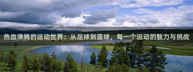 vsport体育官网下载：热血沸腾的运动世界：从足球