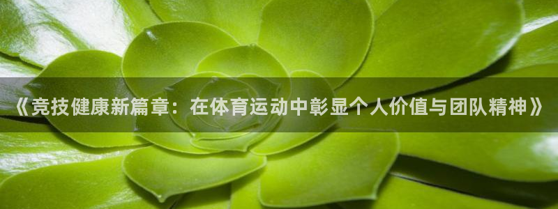 vsport体育官网下载平台是正规平台吗知乎：《竞技