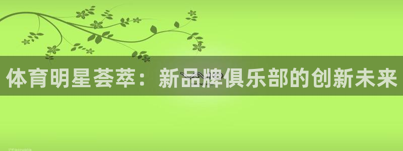 德国vsport体育官方正版app集团：体育明星荟萃
