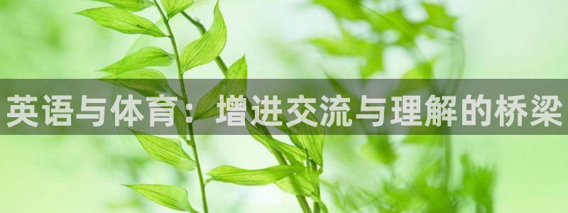 vsport体育官方正版app娱乐是那个系列的台子：