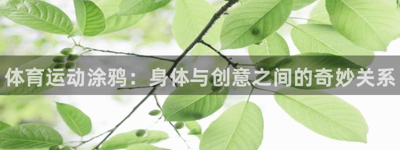 注册vsport体育官方正版app：体育运动涂鸦：身