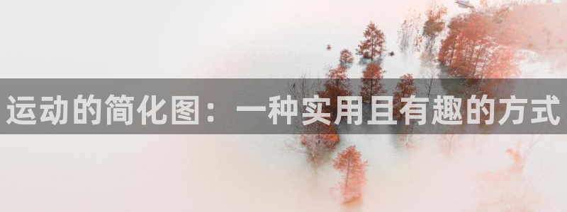 vsport体育官方正版app集团简介