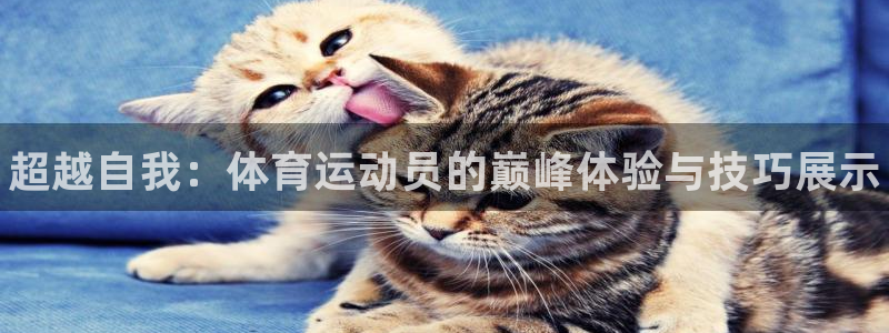 vsport体育官方正版app官方：超越自我：体育运动员的巅