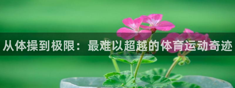 vsport体育官网下载平台是正规平台吗安全吗