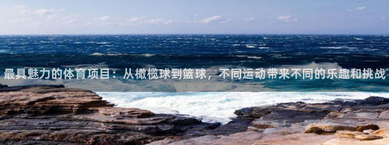 德国vsport体育官方正版app集团：最具魅力的体育项目：