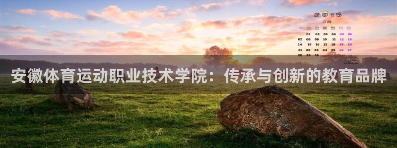 vsport体育官网下载招商电话号码：安徽体育运动职业技术学