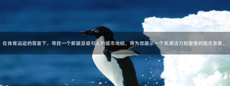 vsport体育官方正版app开户：在体育运动的背景下，寻找