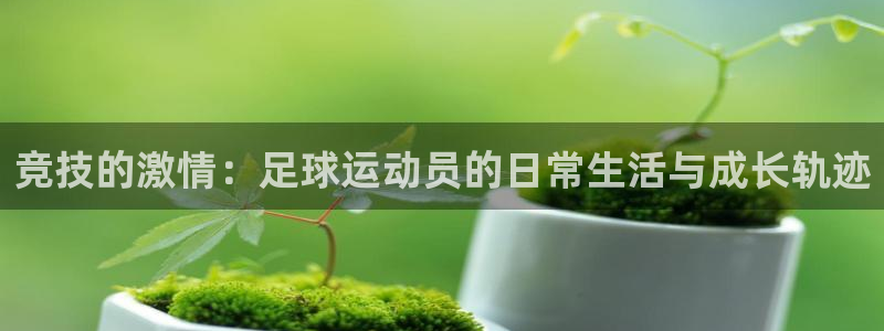 vsport体育官方正版app代理：竞技的激情：足球