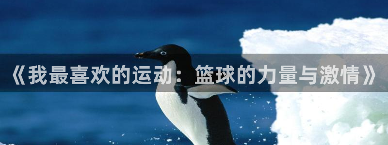 vsport体育官网下载招商电话号码查询是多少