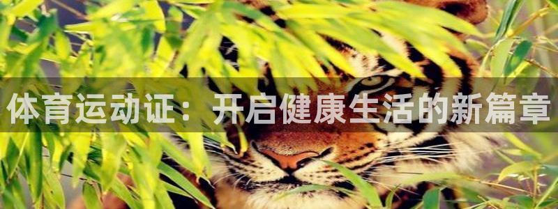 vsport体育官网下载招商电话号码是多少号：体育运