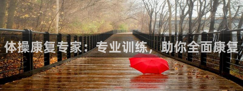 vsport体育官方正版app娱乐网站：体操康复专家