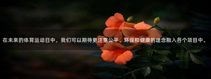 vsport体育官网下载平台注册：在未来的体育运动日
