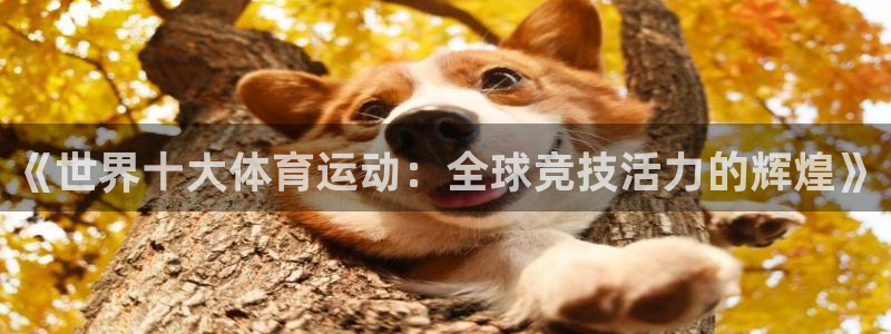 vsport体育官网下载平台注册流程图：《世界十大体