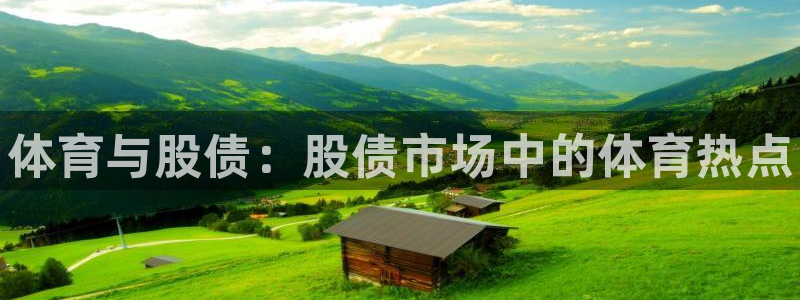 vsport体育官网下载平台是正规平台吗：体育与股债：股债市