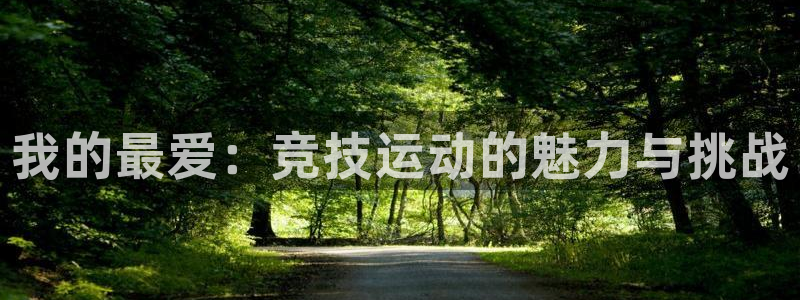 vsport体育官网下载联系电话：我的最爱：竞技运动的魅力与