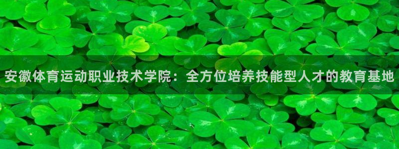 vsport体育官网下载平台注册要钱吗安全吗：安徽体育运动职