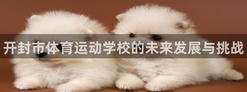 vsport体育官方正版app娱乐