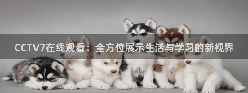 新闻图片