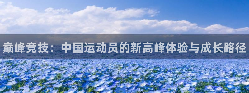 vsport体育官方正版app娱乐下载：巅峰竞技：中