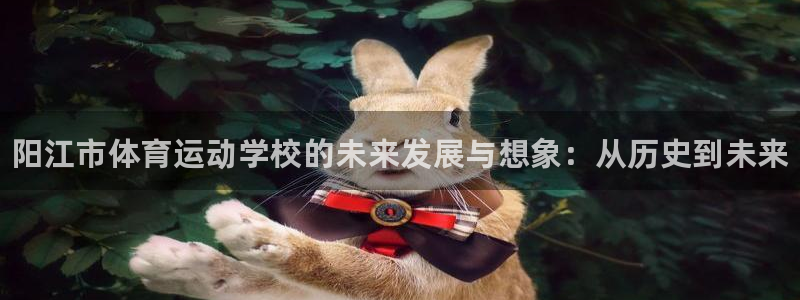 vsport体育官方正版app集团官网网址：阳江市体