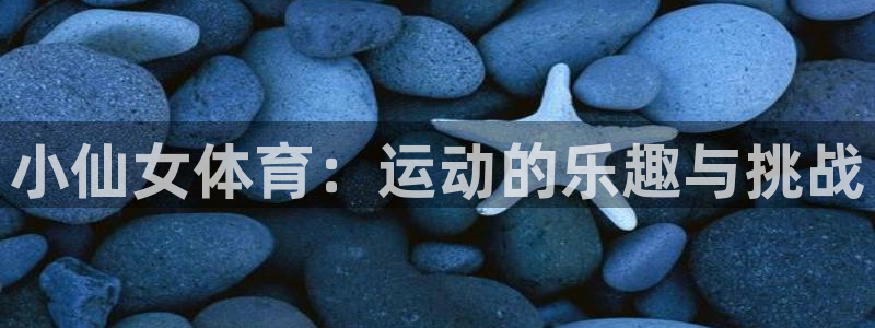 vsport体育官网下载：小仙女体育：运动的乐趣与挑战