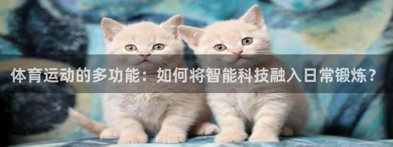 vsport体育官网下载平台假的吗是真的吗吗：体育运动的多功