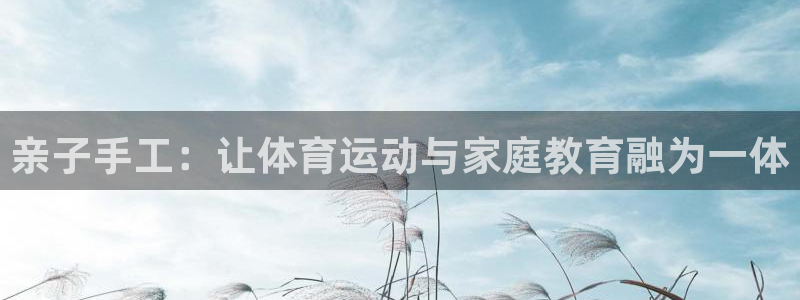 vsport体育官方正版app集团简介