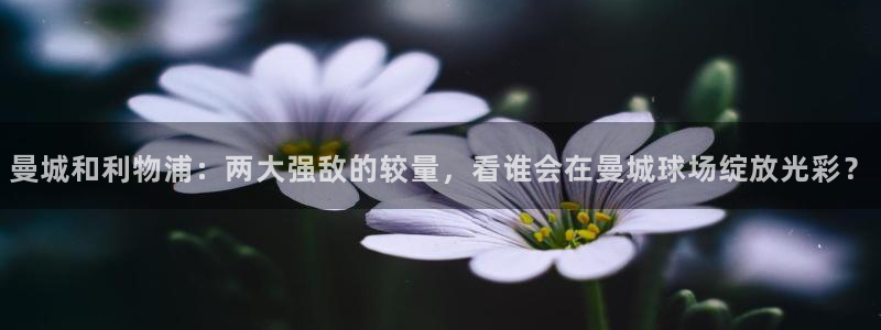 球神看球直播：曼城和利物浦：两大强敌的较量，看谁会在曼城球场绽放光彩？