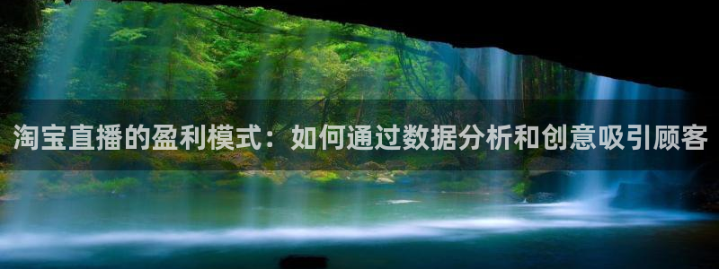 球神直播体育免费直播：淘宝直播的盈利模式：如何通过数据分析和创意吸引顾客