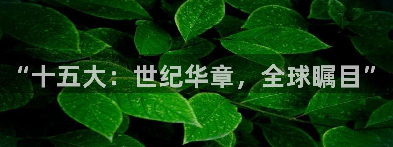 球神体育：“十五大：世纪华章，全球瞩目”